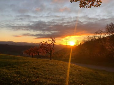 Landschaft